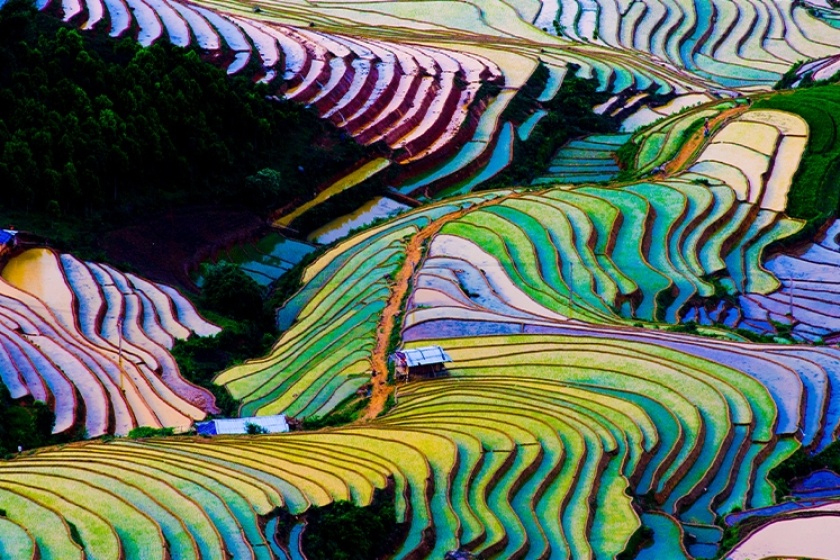 Image gallery